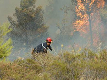 Des incendies dans 7 localités à Tizi Ouzou